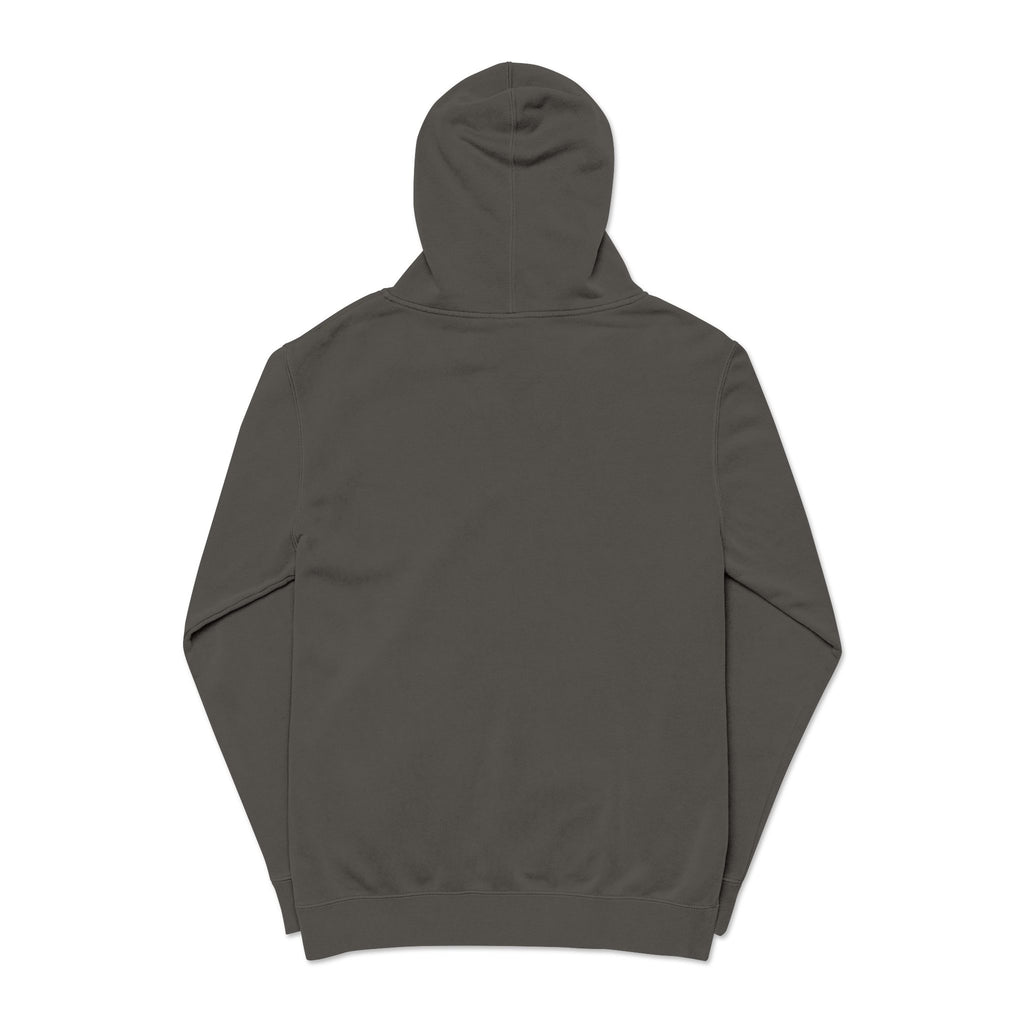 Turtle Hooked Horizon Co – " Chase What Moves You "Unisex Pigment-Dyed Hoodie
