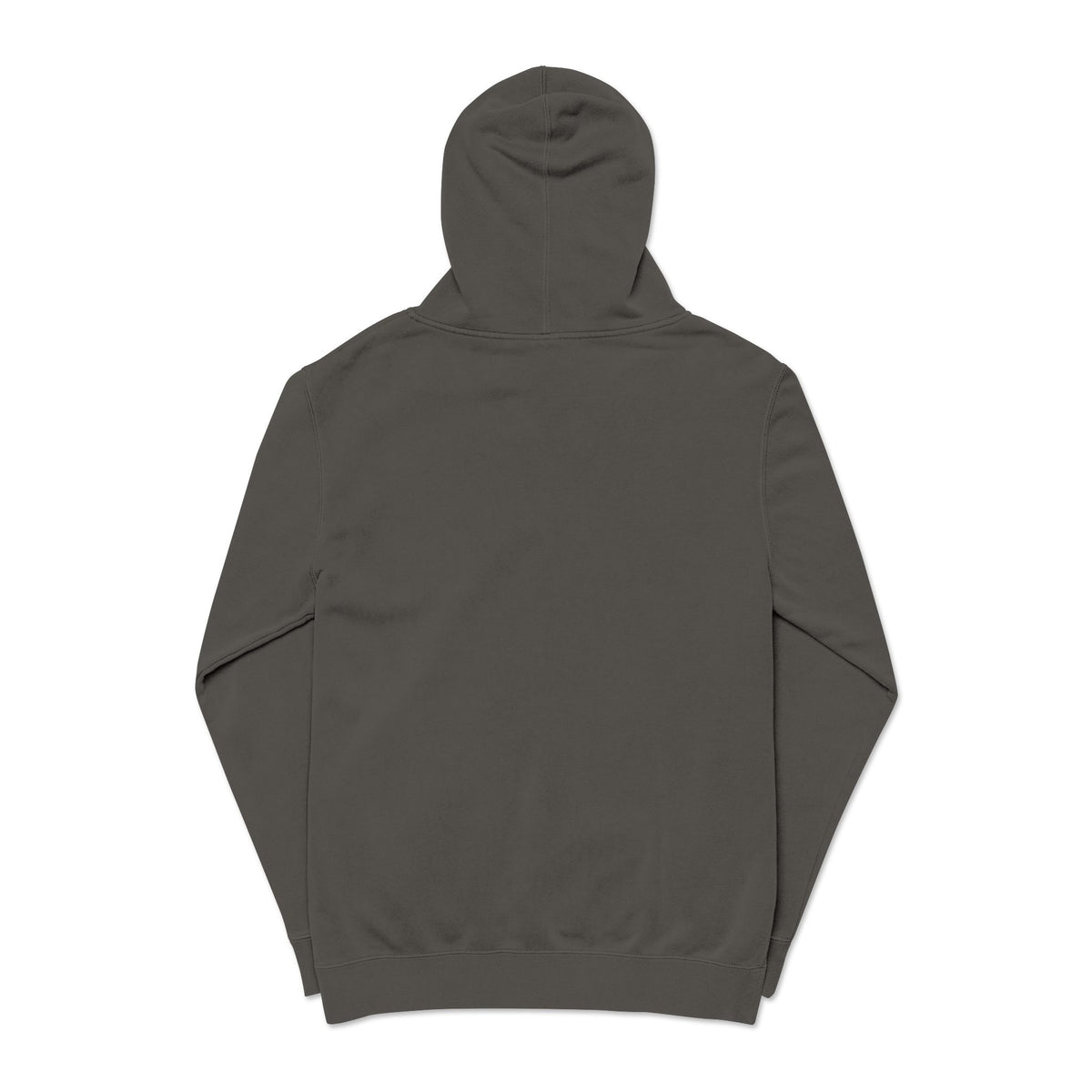 Turtle Hooked Horizon Co – " Chase What Moves You "Unisex Pigment-Dyed Hoodie